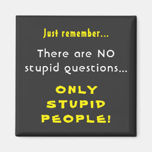 Remember No Stupid Questions Only Stupid People Magnet