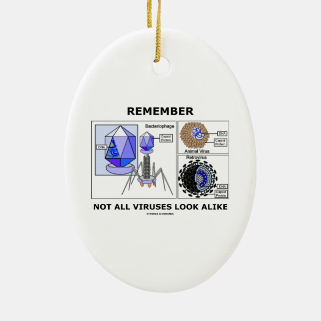 Remember Not All Viruses Look Alike Virology Ceramic Ornament (Back)