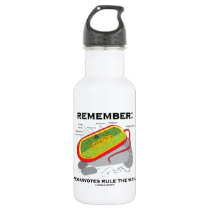 Remember: Prokaryotes Rule The World (Bacterium) 532 Ml Water Bottle