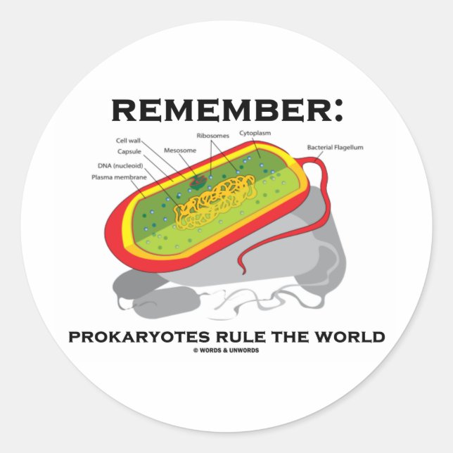 Remember: Prokaryotes Rule The World Classic Round Sticker (Front)