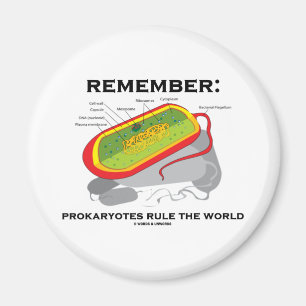 Remember: Prokaryotes Rule The World Magnet