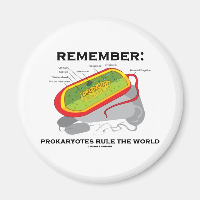 Remember: Prokaryotes Rule The World Magnet (Front)