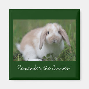 Remember the Carrots! Bunny Magnet