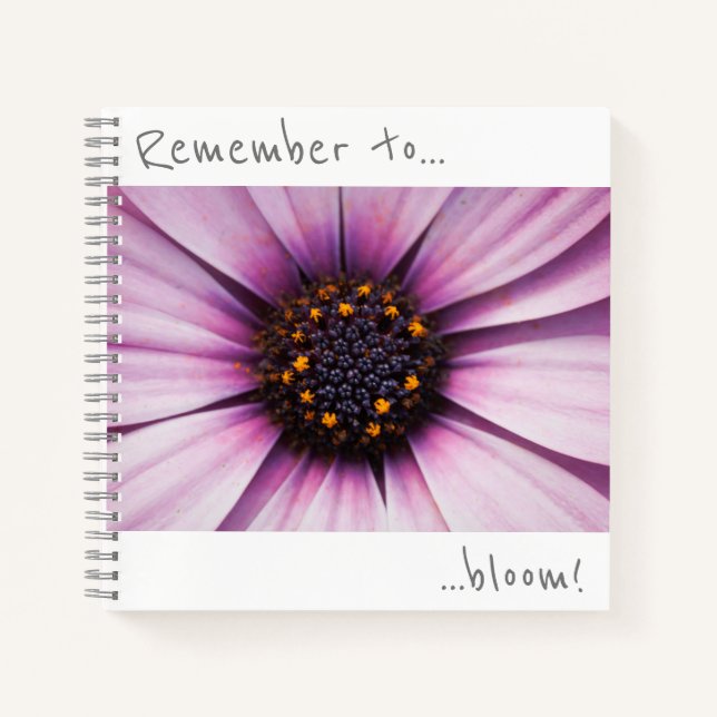 Remember to bloom Osteospermum Flower Notebook (Front)
