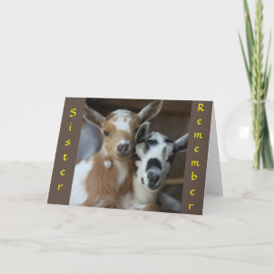 REMEMBER WHEN WE WERE KIDS SISTER" CARD