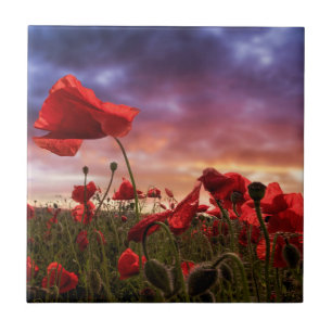 Remembering   Field of Poppies Ceramic Tile