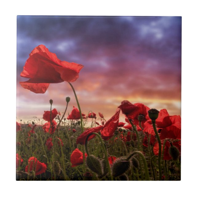 Remembering | Field of Poppies Ceramic Tile (Front)