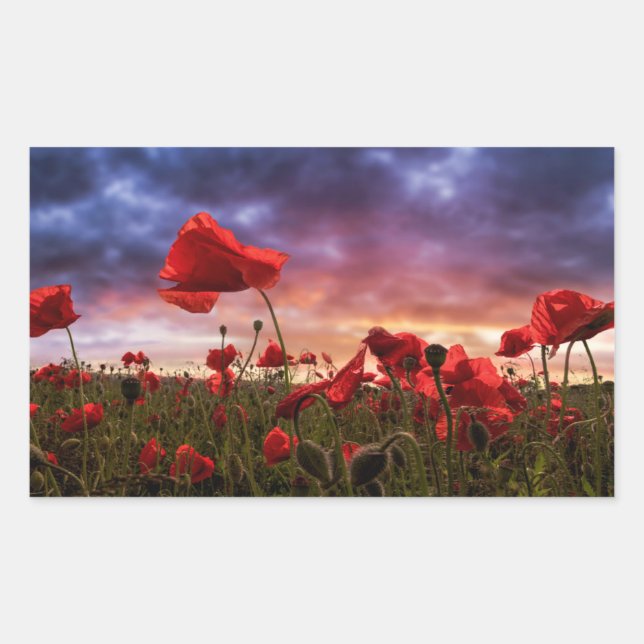 Remembering | Field of Poppies Rectangular Sticker (Front)
