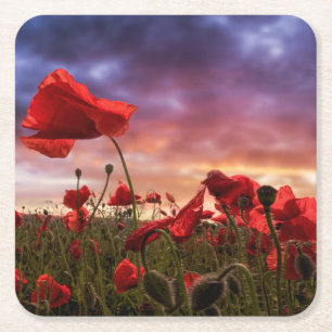Remembering Field of Poppies Square Paper Coaster