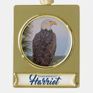 Remembering Harriet Ornament