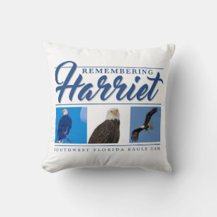 Remembering Harriet Throw Pillow