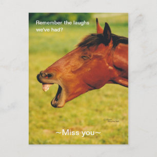 Remembering Laughs horse Postcard