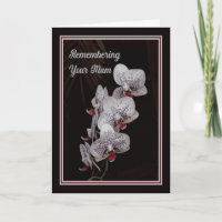 Remembering Mum on Death Anniversary with Orchids