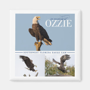 Remembering Ozzie Magnet