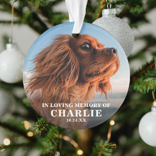 Remembrance Photo Pet Memorial  Ornament
