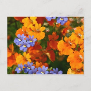 Reminder of Spring Postcard