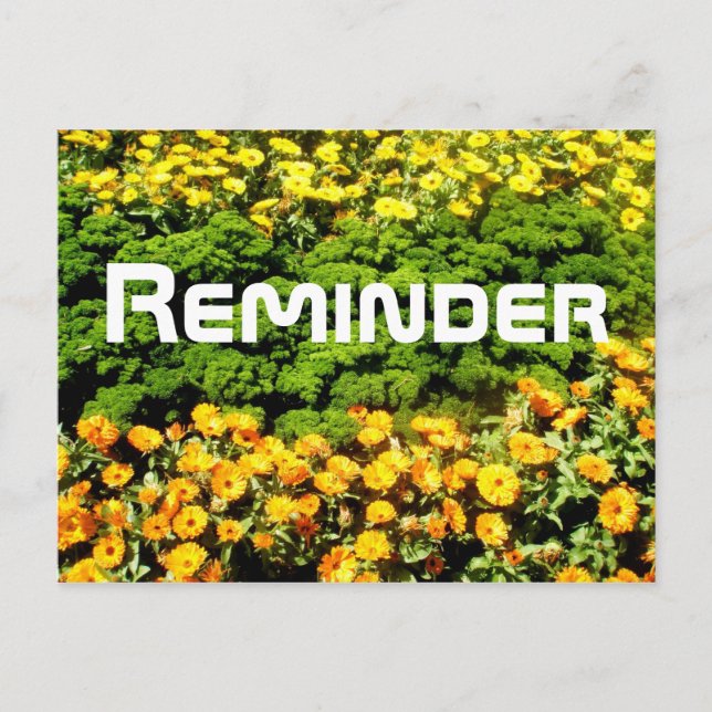 Reminder Postcard (Front)