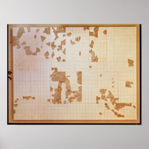Remnant of a cadastre poster