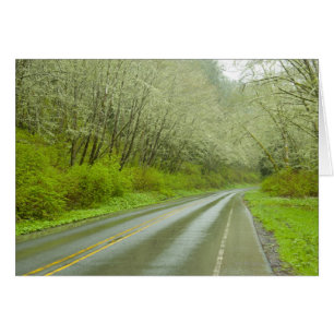 Remote highway through forest
