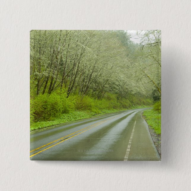 Remote highway through forest 15 cm square badge (Front)
