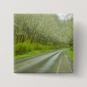 Remote highway through forest 15 cm square badge
