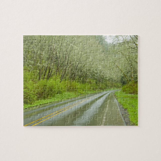 Remote highway through forest jigsaw puzzle (Horizontal)