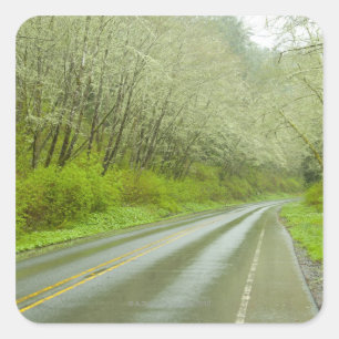 Remote highway through forest square sticker