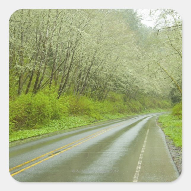 Remote highway through forest square sticker (Front)
