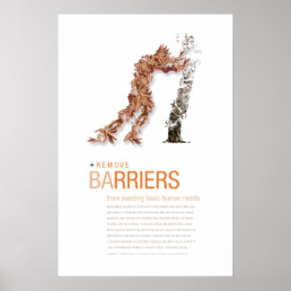 Remove Barriers: Sustainability Principle Poster