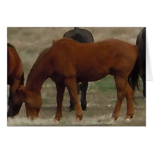 Remuda Herd Grazes - Ranch Cow Horses - Blank