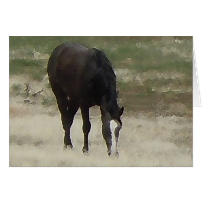 Remuda Herd Grazes - Ranch Cow Horses - Blank (Front Horizontal)