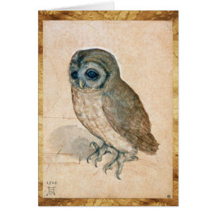 RENAISSANCE ANIMAL DRAWINGS / THE OWL