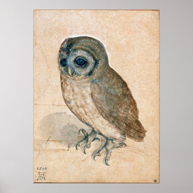 RENAISSANCE ANIMAL DRAWINGS / THE OWL POSTER (Front)