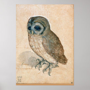 RENAISSANCE ANIMAL DRAWINGS / THE OWL POSTER
