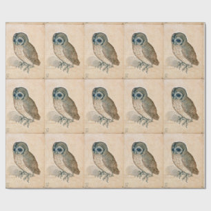 RENAISSANCE ANIMAL DRAWINGS /THE OWL WRAPPING PAPER