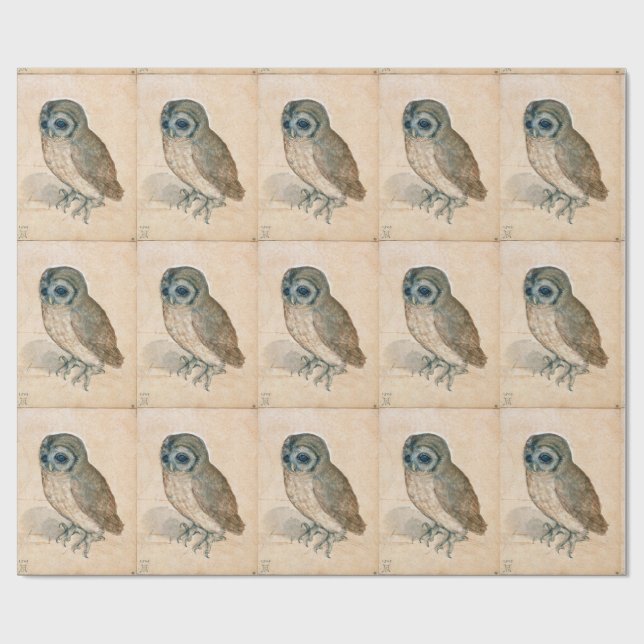 RENAISSANCE ANIMAL DRAWINGS /THE OWL WRAPPING PAPER (Flat)