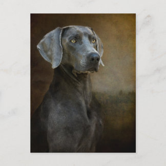 Renaissance Blue Postcard