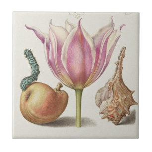 Renaissance Calligraphy Art Pink Tulip and Pear Ceramic Tile