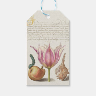 Renaissance Calligraphy Art Pink Tulip and Pear Gift Tags
