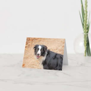 Rene Holiday Card