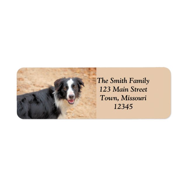 Rene Return Address Label (Front)