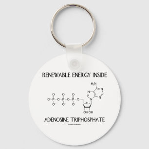 Renewable Energy Inside Adenosine Triphosphate Key Ring