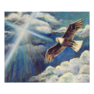 Renewed Strength: Eagle Wings Photo Print