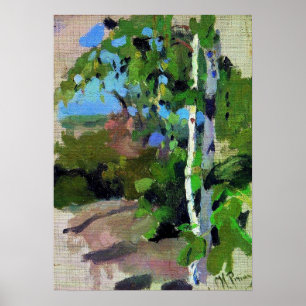 Repin - Birch Trees On Sunny Day Poster