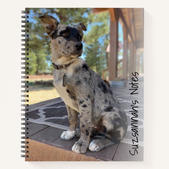 Replaceable Adorable Cattle Dog Cover Photo Notebook (Front)