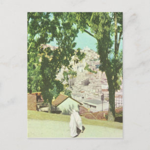 Replica  Vintage Algeris, Panorama of the city Postcard