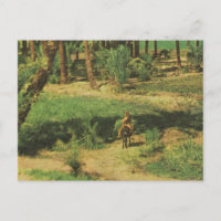 Replica Vintage Egypt, Nile delta agriculture