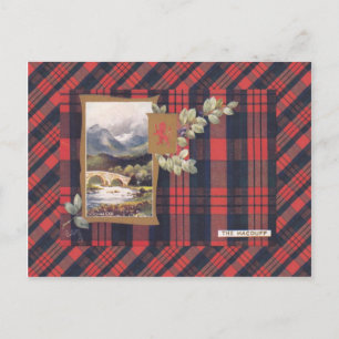 Replica Vintage, Scotland, Clan Macduff Postcard