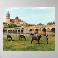 Replica Vintage Spain, Salamanca, Cathedral