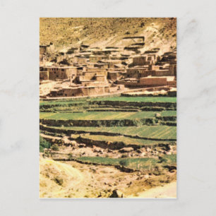 Replica  Vintage Terraces of Maize, Berber village Postcard